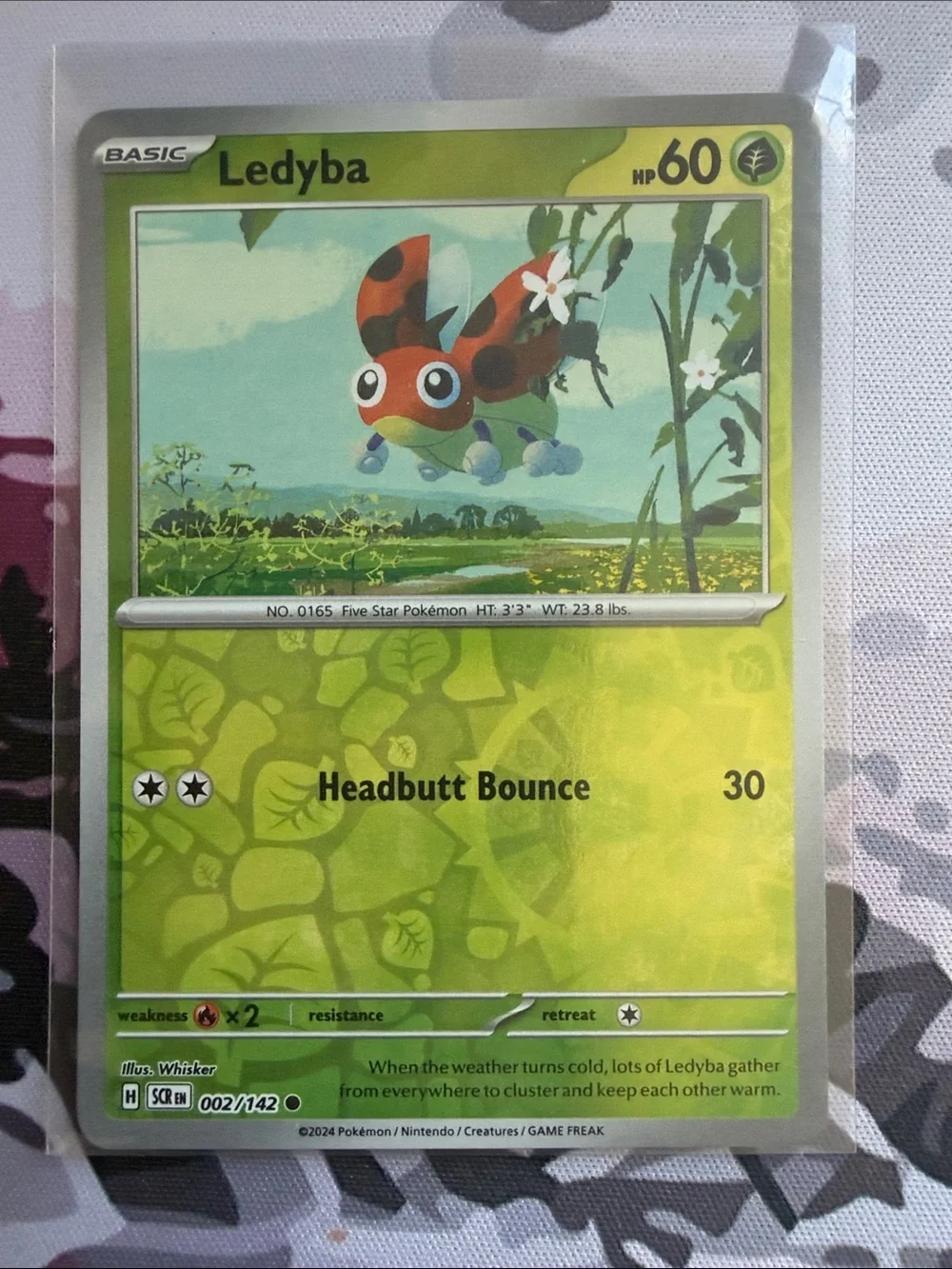 Ledyba & Ledian Evolution Lot | Holo Reverse Holo Pokémon Cards ✨5/$25✨